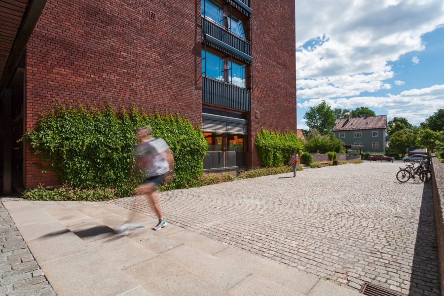 Bilde fra Landskaperiets prosjekt Universitetet i Oslo Eilert Sundts hus, Blindern
